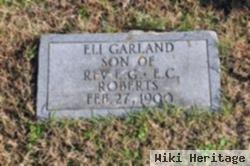 Eli Garland Roberts