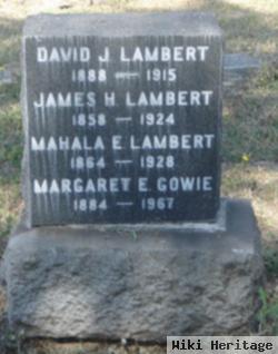 David J. Lambert