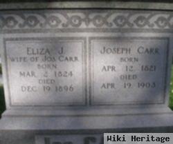 Eliza J Carr