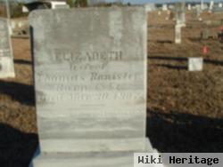 Elizabeth C. Ashley Banister