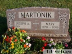 Mary "renee" Paskevich Martonik