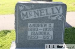 Andrew Cleveland Mcnelly