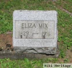 Eliza Henry Mix