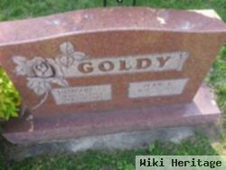 Howard G Goldy