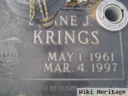 Duane J. Krings