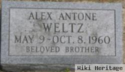 Alex Anton Weltz