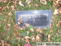 David M Campbell