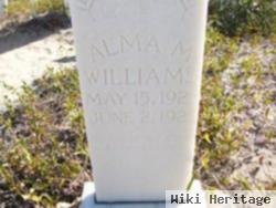 Alma M Williams