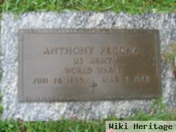 Anthony Pecora