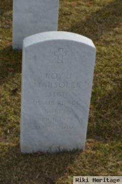 Roy J. Marsolek