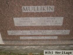 Lydia C Mullikin