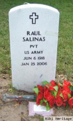 Raul Salinas