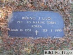 Bruno J. Lijoi