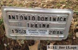 Antonio Dominick Traina