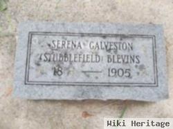 Serena Galveston Stubblefield Blevins