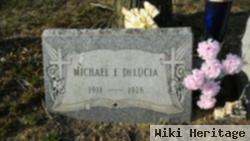 Michael E Delucia