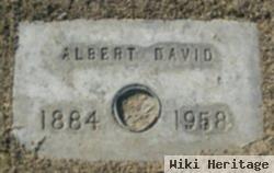 Albert David