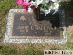 Jamie L Gallivan
