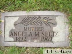 Angela M Seltz