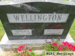 Stephen G Wellington