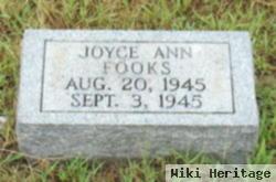 Joyce Ann Fooks