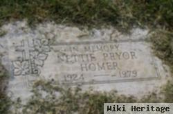 Nettie Pryor Homer