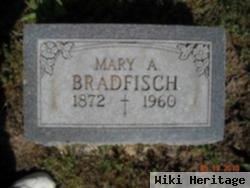 Mary A Bradfisch