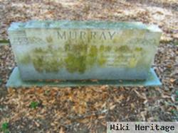 William Henry Murray