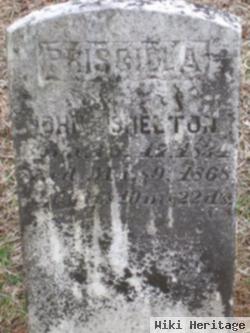 Priscilla Jessup Shelton