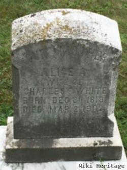 Alice Alies Boyd White