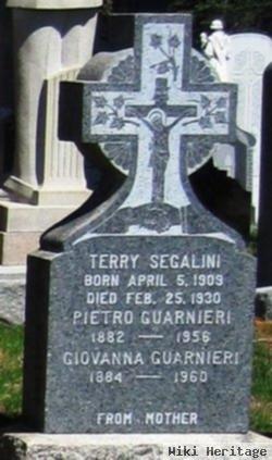 Terry Segalini