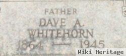 David Allen "dave" Whitehorn