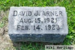 David J Arner