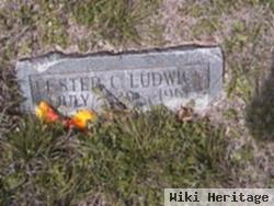 Lester C Ludwick