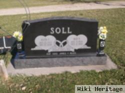 Roy Frank Soll