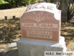 Anna P Kulb Haas