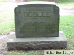 Nina H. Goslee