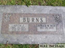 Anita J Burns