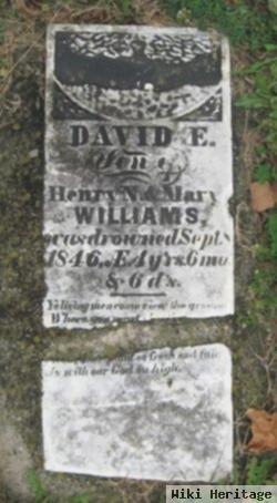 David E Williams