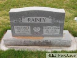 Ned Elmer Rainey