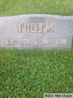 Lilly R Phelps