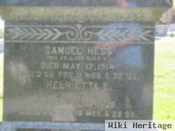 Samuel M Hess