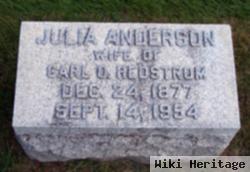 Julia Anderson Hedstrom