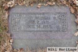 Henry Heidema, Jr