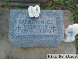 Carol Joyce Visocky