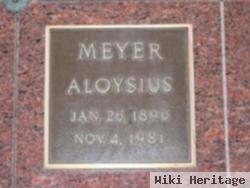 Aloysius E Meyer