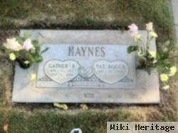 Gather Haynes