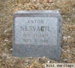 Anton Nesvacil