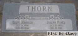 Sarah Eliza Johnson Thorn