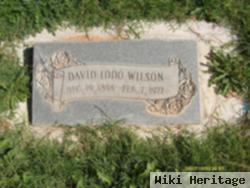 David Iddo Wilson